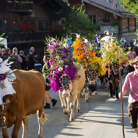 Alpenzauber Apartment Kirchberg in Tirol